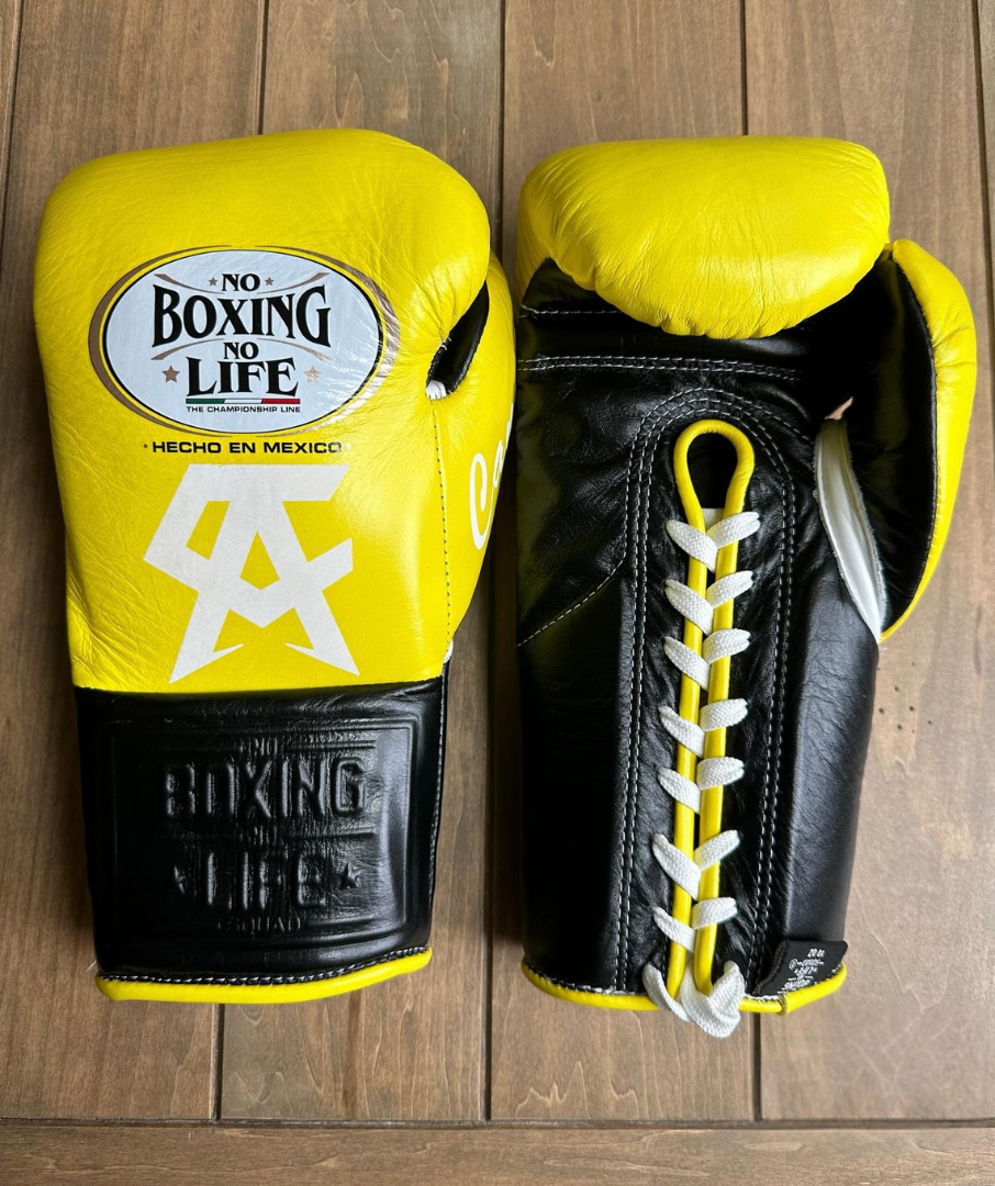No Boxing No Life Glove - online, NBNL Boxing Gloves, Limited Addition