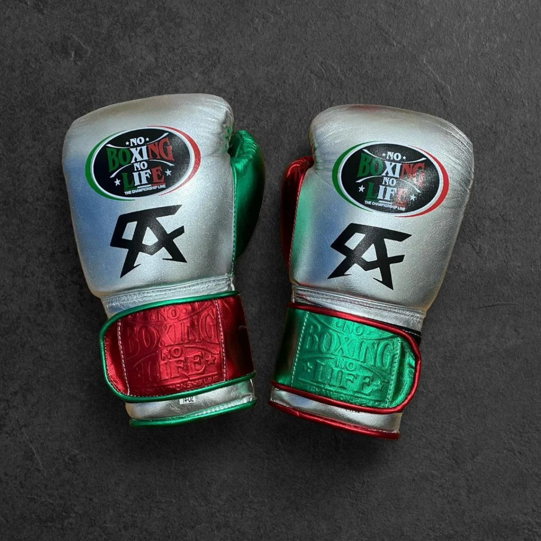 No Boxing No Life Glove - online, NBNL Boxing Gloves, Limited Addition