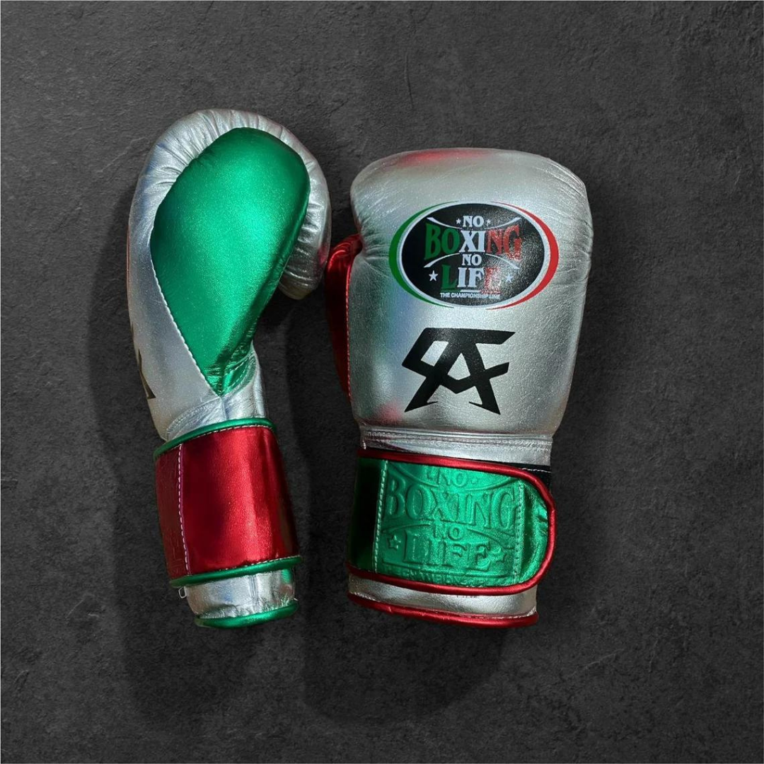 No Boxing No Life Glove - online, NBNL Boxing Gloves, Limited Addition