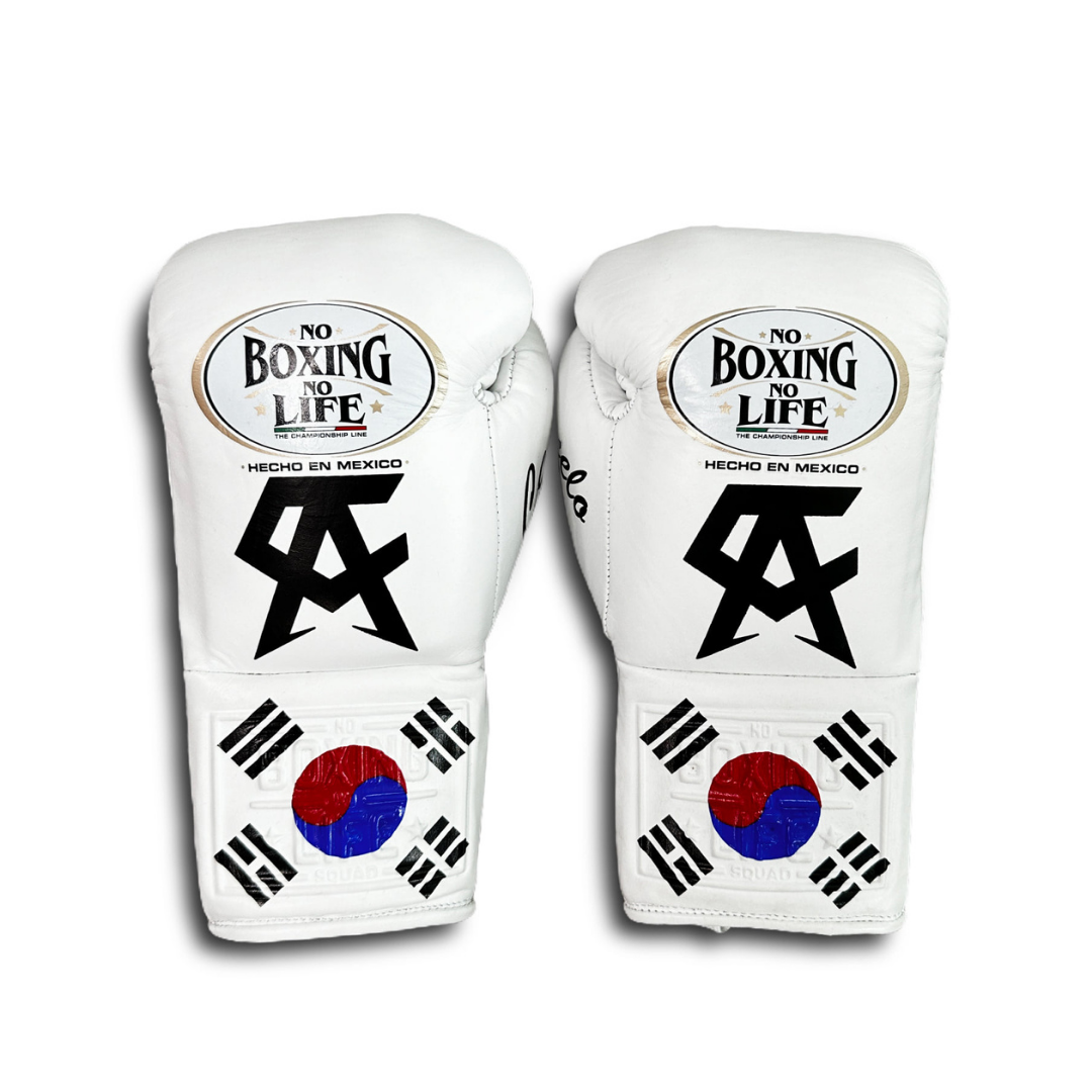 No Boxing No Life Glove - online, NBNL Boxing Gloves, Limited Addition