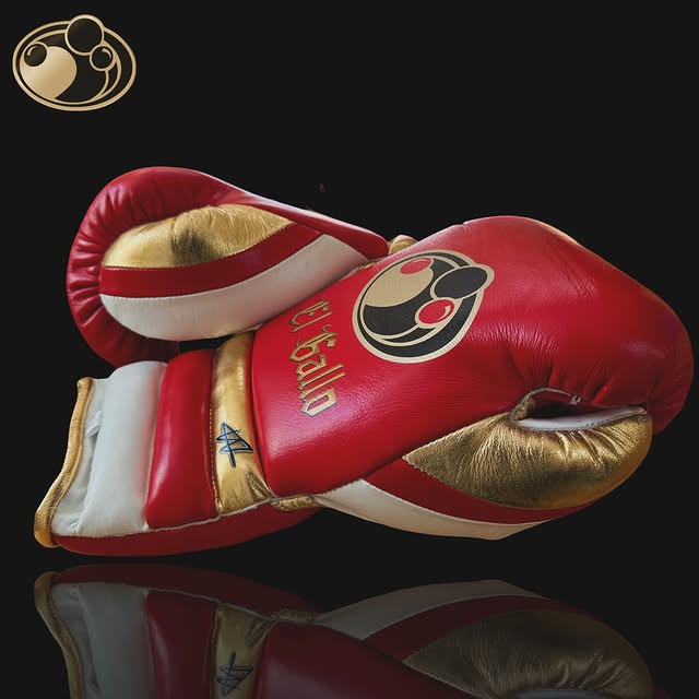 Personalized boxing glove, just like original GRANT gloves_BN