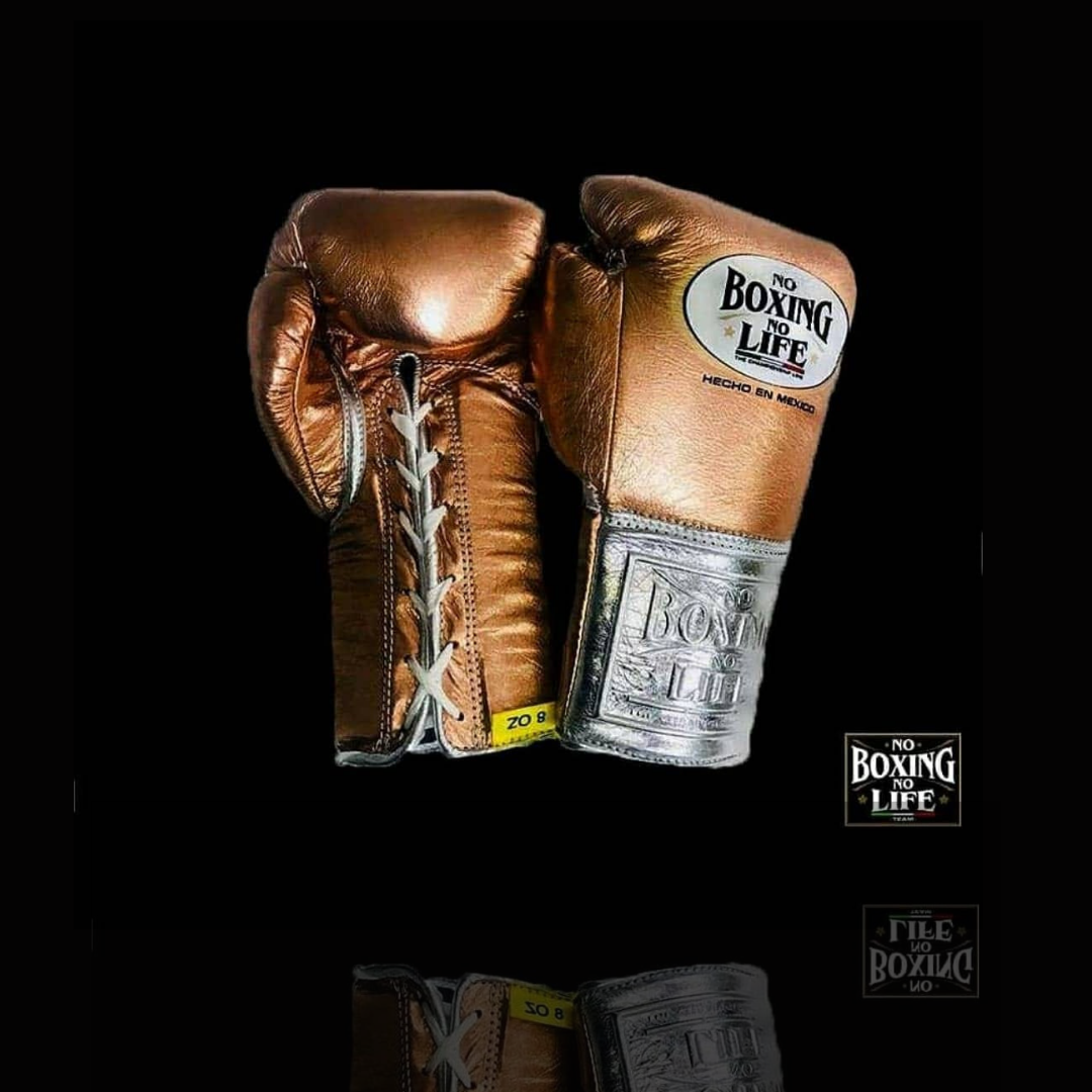 No Boxing No Life Glove - online, NBNL Boxing Gloves, Limited Addition