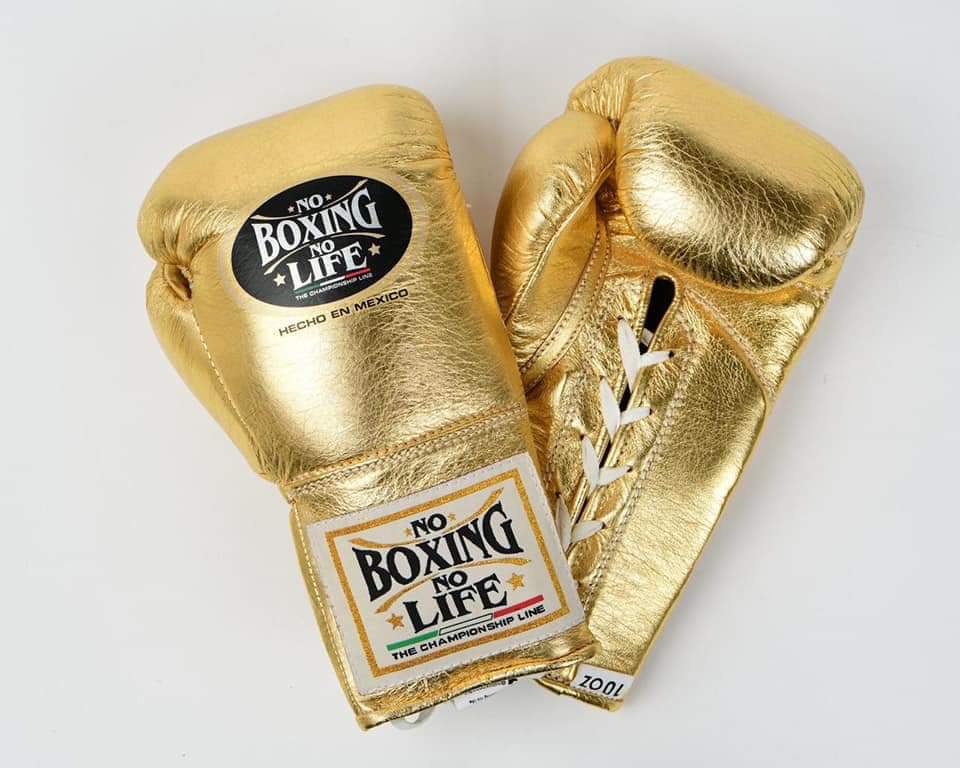 No Boxing No Life Glove - online, NBNL Boxing Gloves, Limited Addition