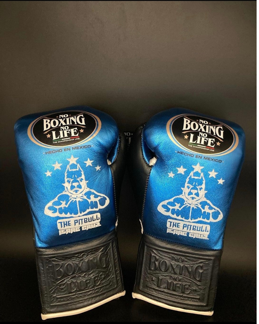 No Boxing No Life Glove - online, NBNL Boxing Gloves, Limited Addition