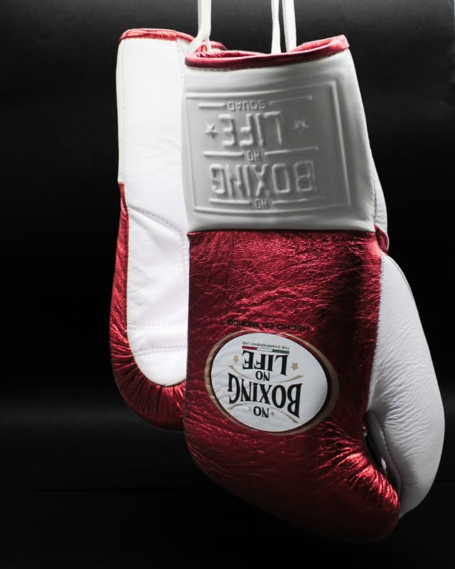 No Boxing No Life Glove - online, NBNL Boxing Gloves, Limited Addition