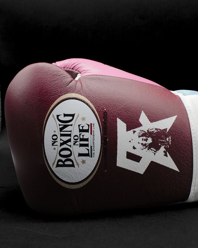 No Boxing No Life Glove - online, NBNL Boxing Gloves, Limited Addition