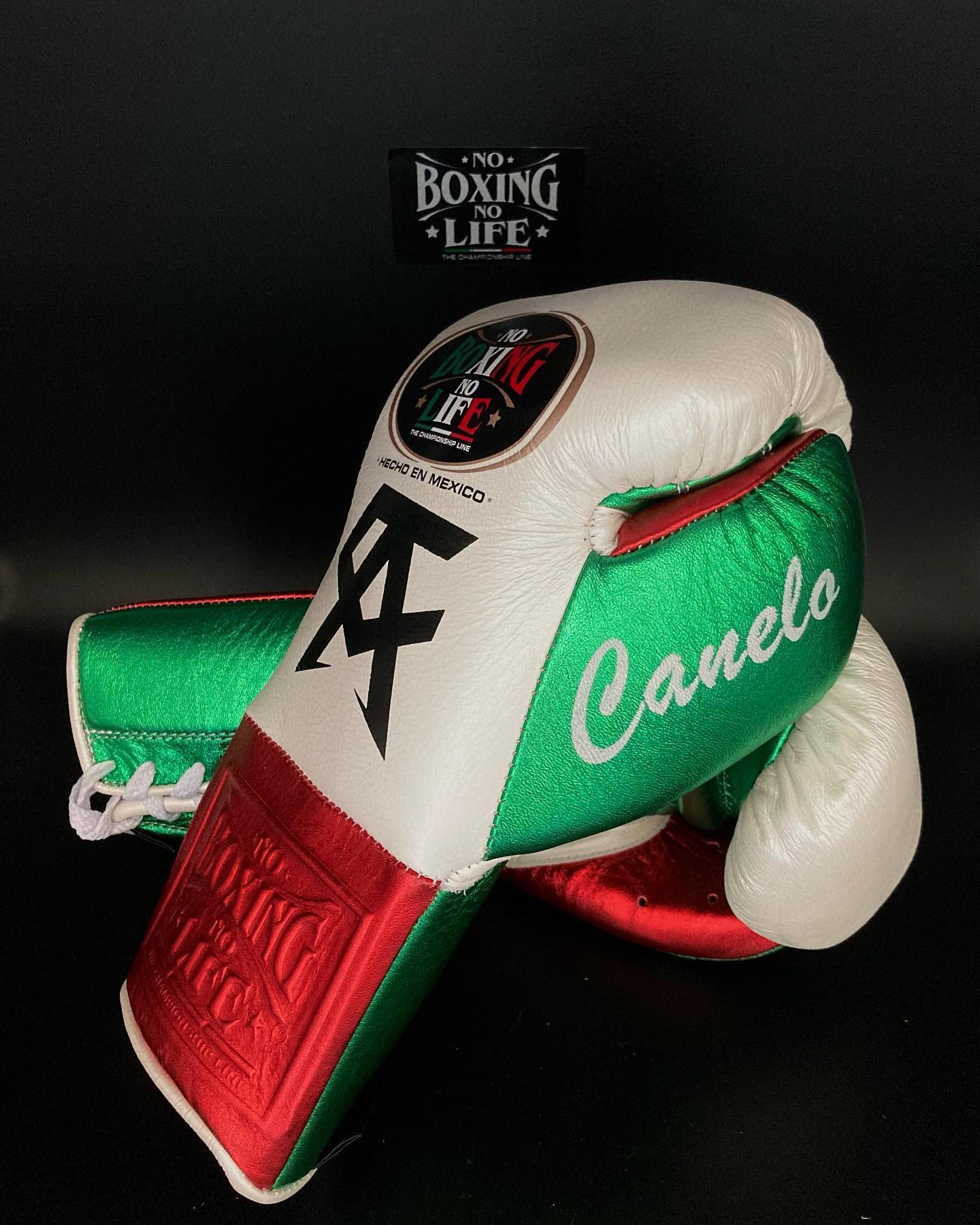 No Boxing No Life Glove - online, NBNL Boxing Gloves, Limited Addition