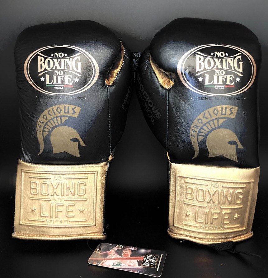No Boxing No Life Glove - online, NBNL Boxing Gloves, Limited Addition