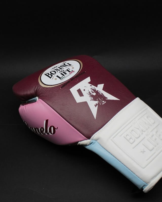 No Boxing No Life Glove - online, NBNL Boxing Gloves, Limited Addition