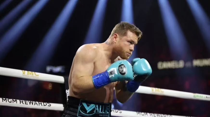 No Boxing No Life Glove - online, NBNL Boxing Gloves, Limited Addition