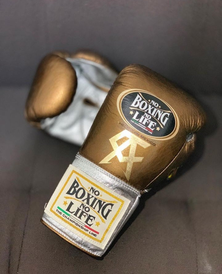 No Boxing No Life Glove - online, NBNL Boxing Gloves, Limited Addition