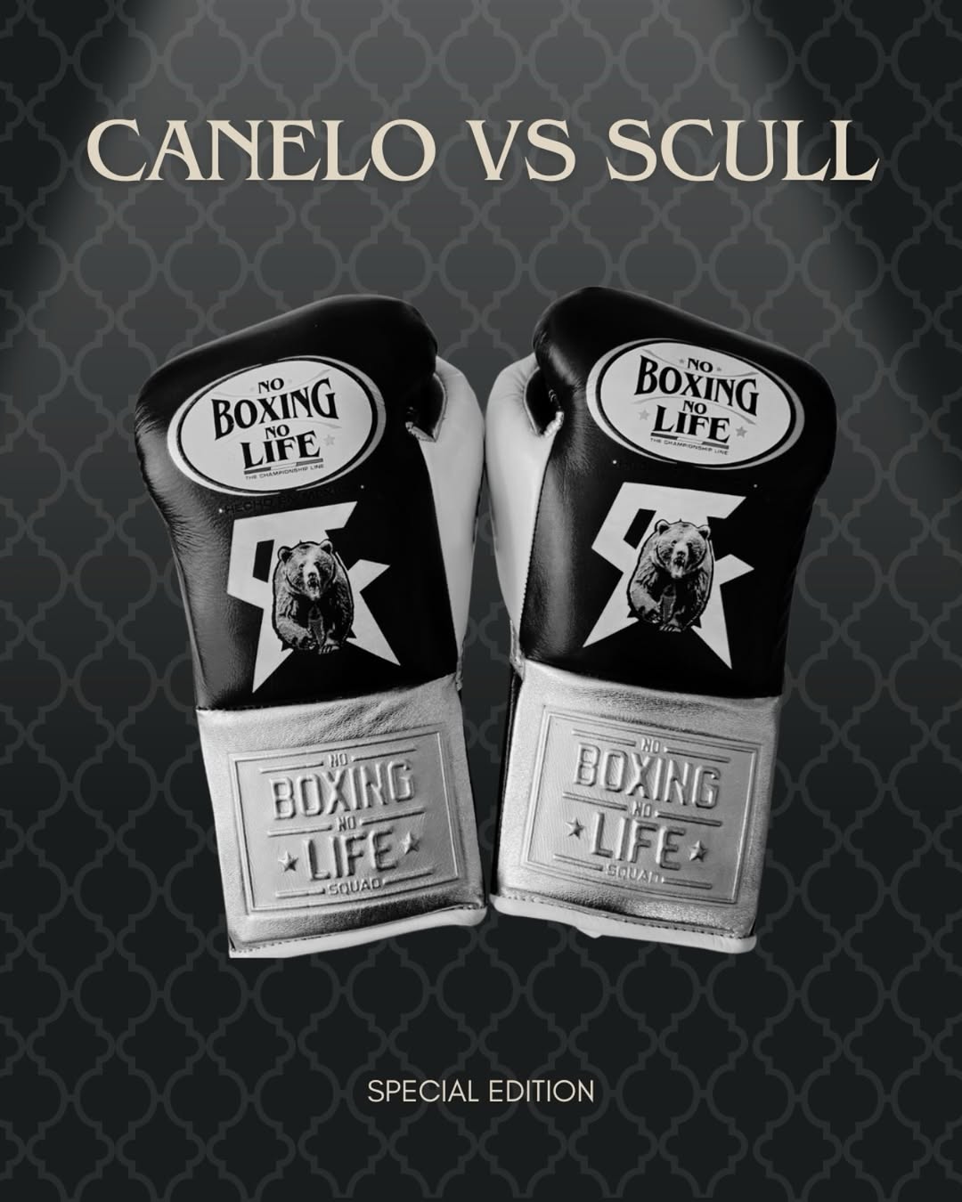 No Boxing No Life Glove - online, NBNL Boxing Gloves, Limited Addition