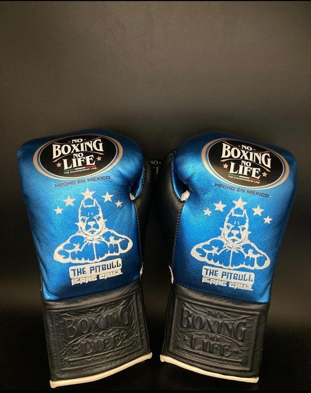 No Boxing No Life Glove - online, NBNL Boxing Gloves, Limited Addition