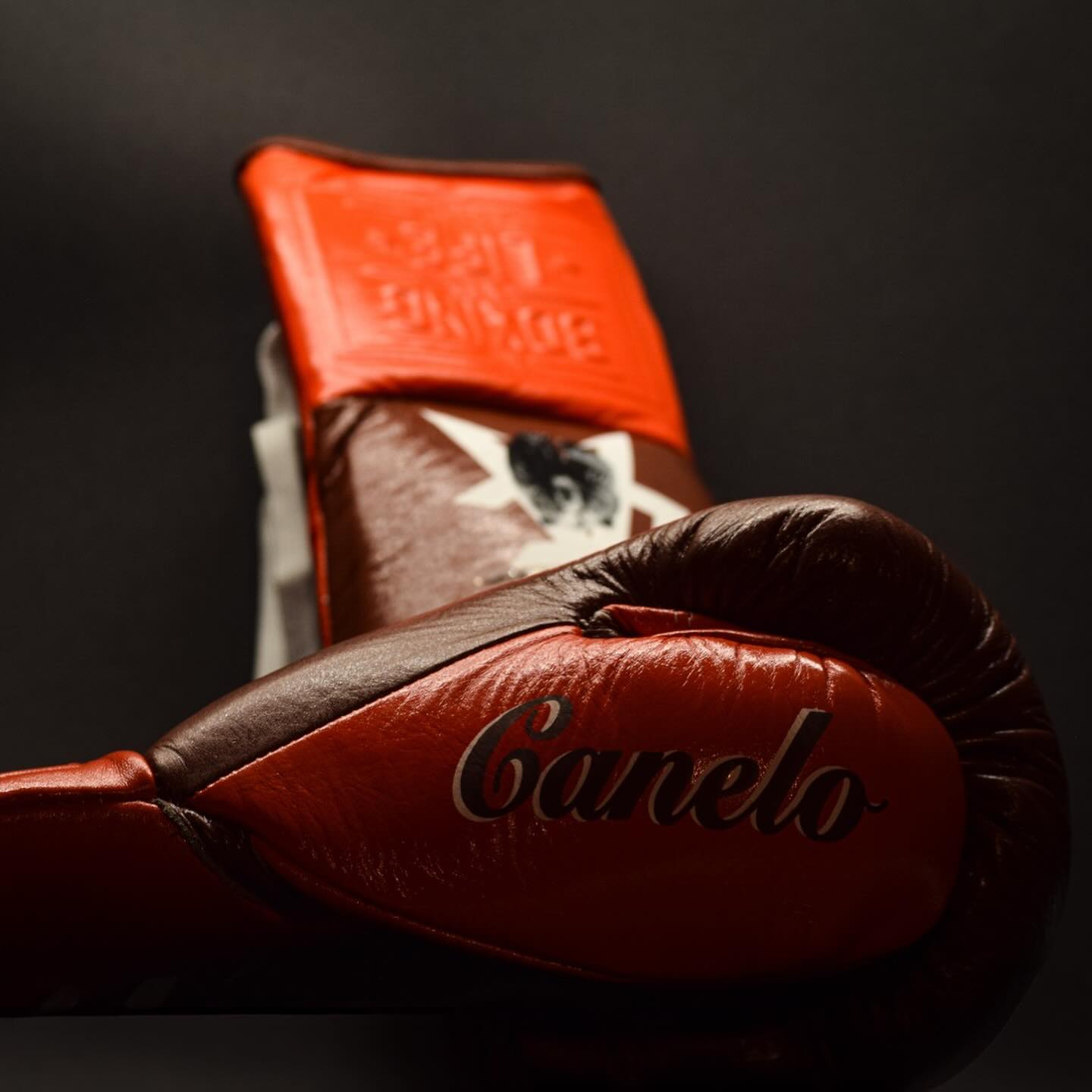 No Boxing No Life Glove - online, NBNL Boxing Gloves, Limited Addition