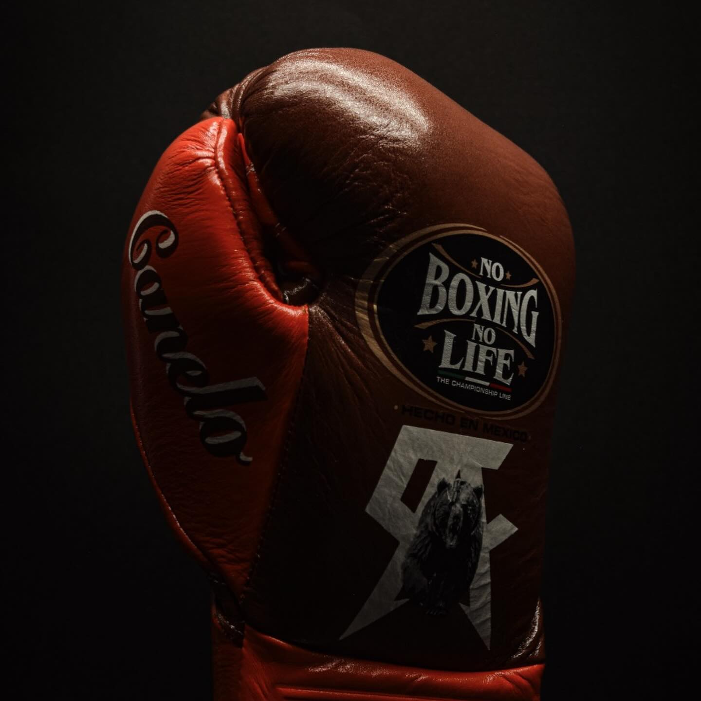 No Boxing No Life Glove - online, NBNL Boxing Gloves, Limited Addition