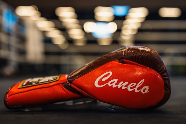 No Boxing No Life Glove - online, NBNL Boxing Gloves, Limited Addition