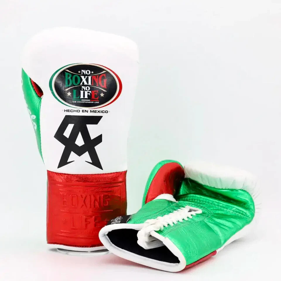 No Boxing No Life Glove - online, NBNL Boxing Gloves, Limited Addition