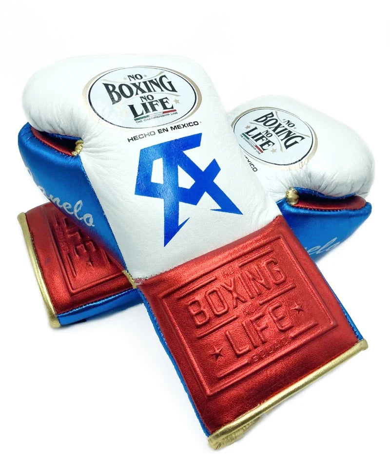 No Boxing No Life Glove - online, NBNL Boxing Gloves, Limited Addition