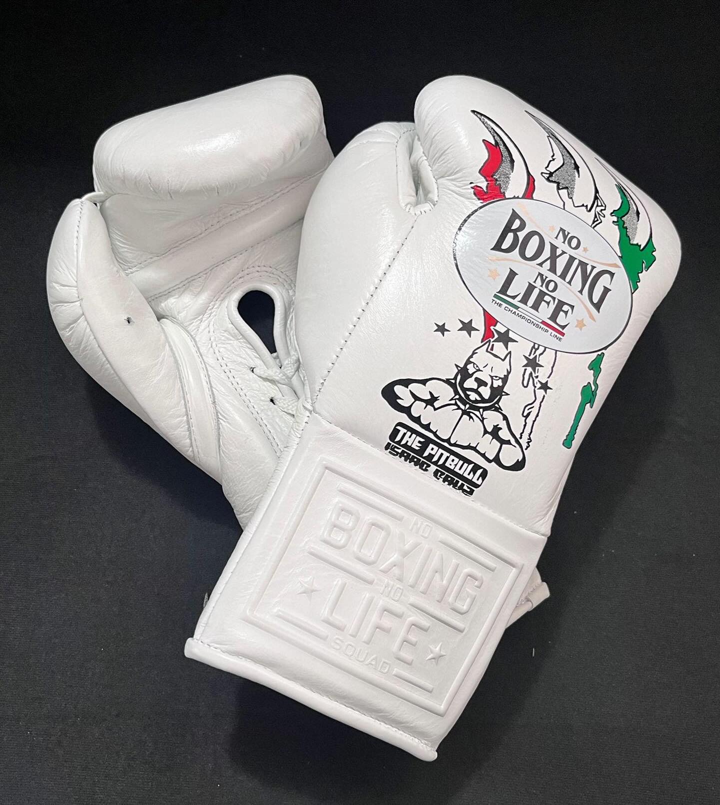 No Boxing No Life Glove - online, NBNL Boxing Gloves, Limited Addition