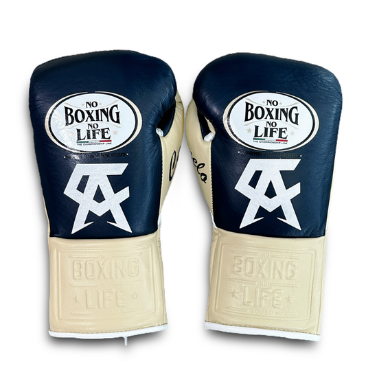 No Boxing No Life Glove - online, NBNL Boxing Gloves, Limited Addition