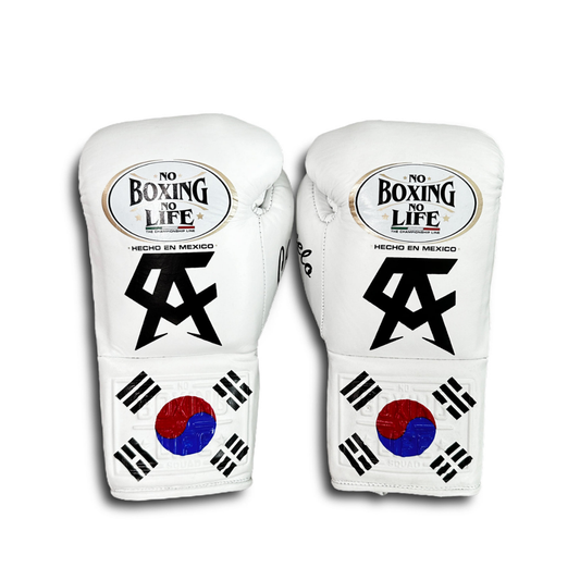 No Boxing No Life Glove - online, NBNL Boxing Gloves, Limited Addition