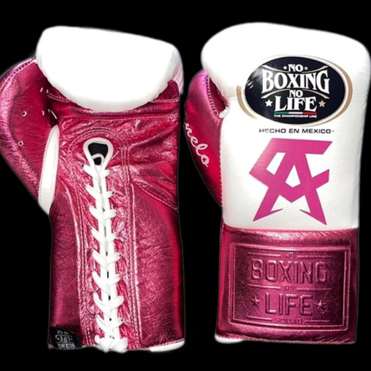 No Boxing No Life Glove - online, NBNL Boxing Gloves, Limited Addition