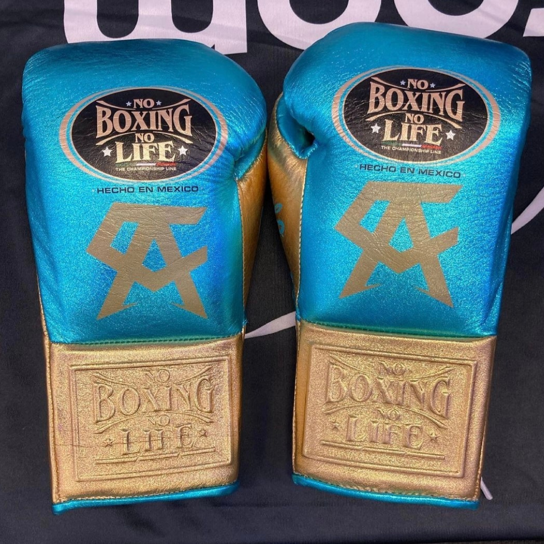 No Boxing No Life Glove - online, NBNL Boxing Gloves, Limited Addition