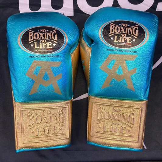 No Boxing No Life Glove - online, NBNL Boxing Gloves, Limited Addition