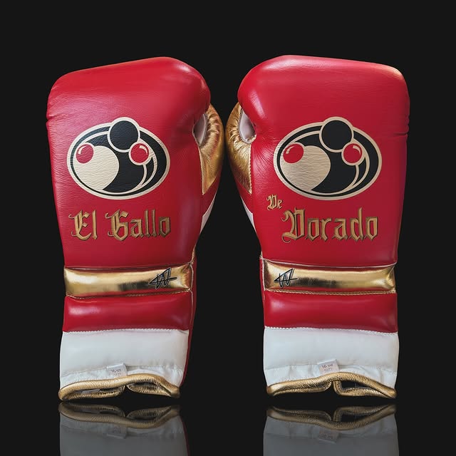 Personalized boxing glove, just like original GRANT gloves_BN