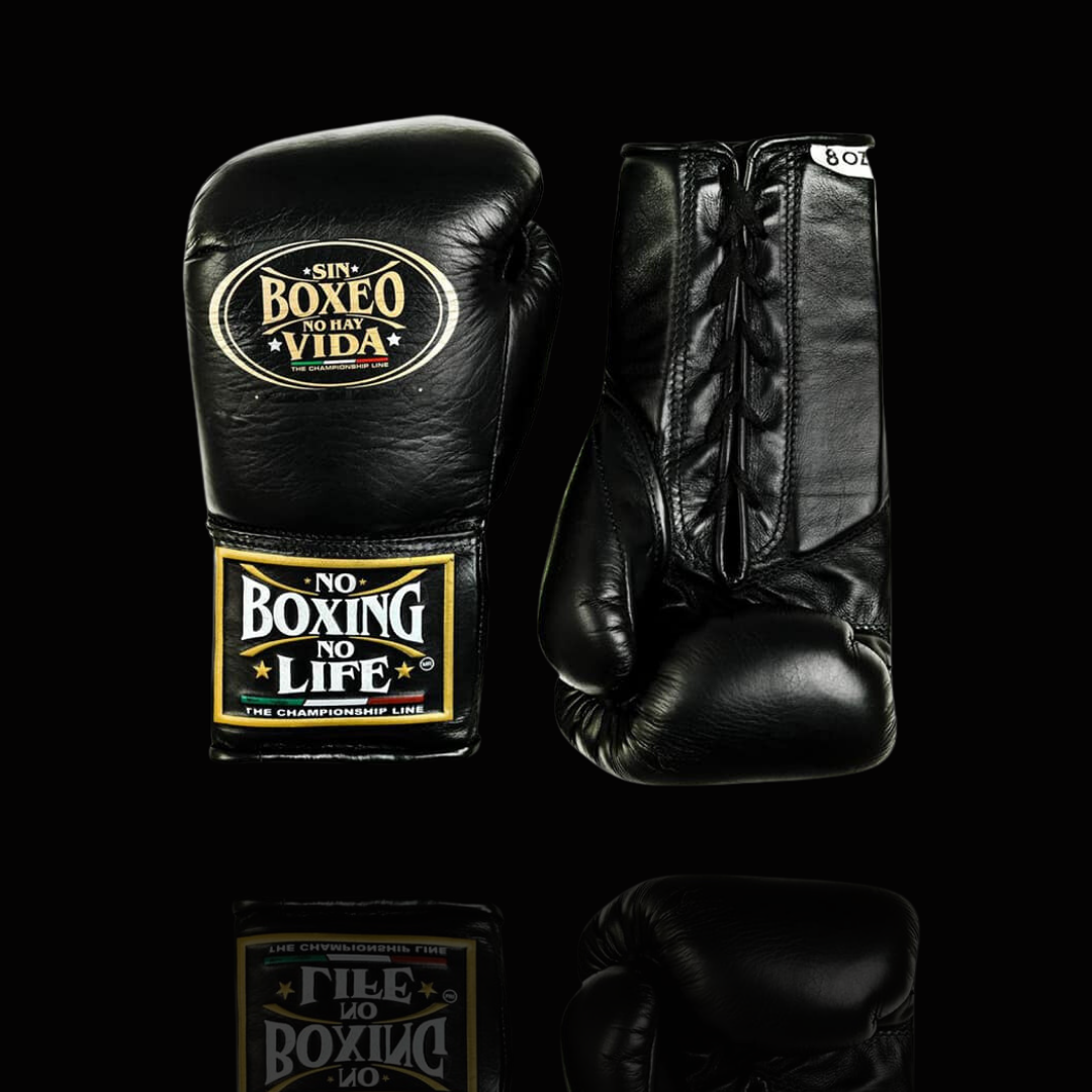 No Boxing No Life Glove - online, NBNL Boxing Gloves, Limited Addition