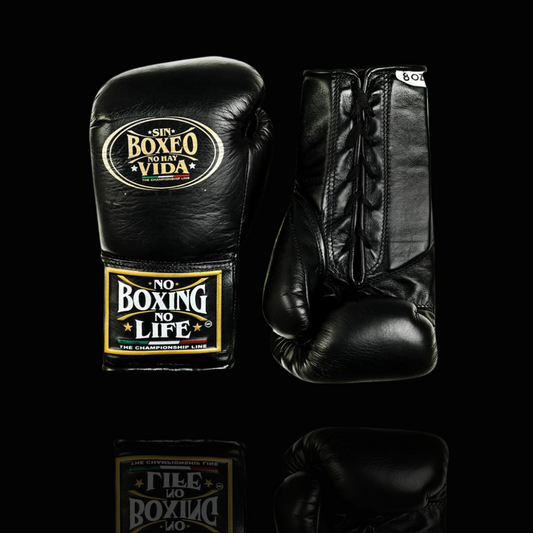 No Boxing No Life Glove - online, NBNL Boxing Gloves, Limited Addition