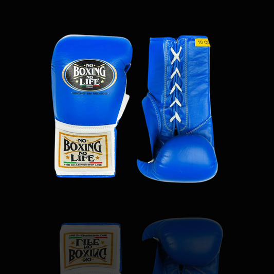 No Boxing No Life Glove - online, NBNL Boxing Gloves, Limited Addition