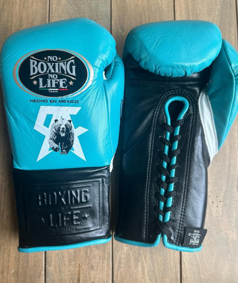 No Boxing No Life Glove - online, NBNL Boxing Gloves, Limited Addition