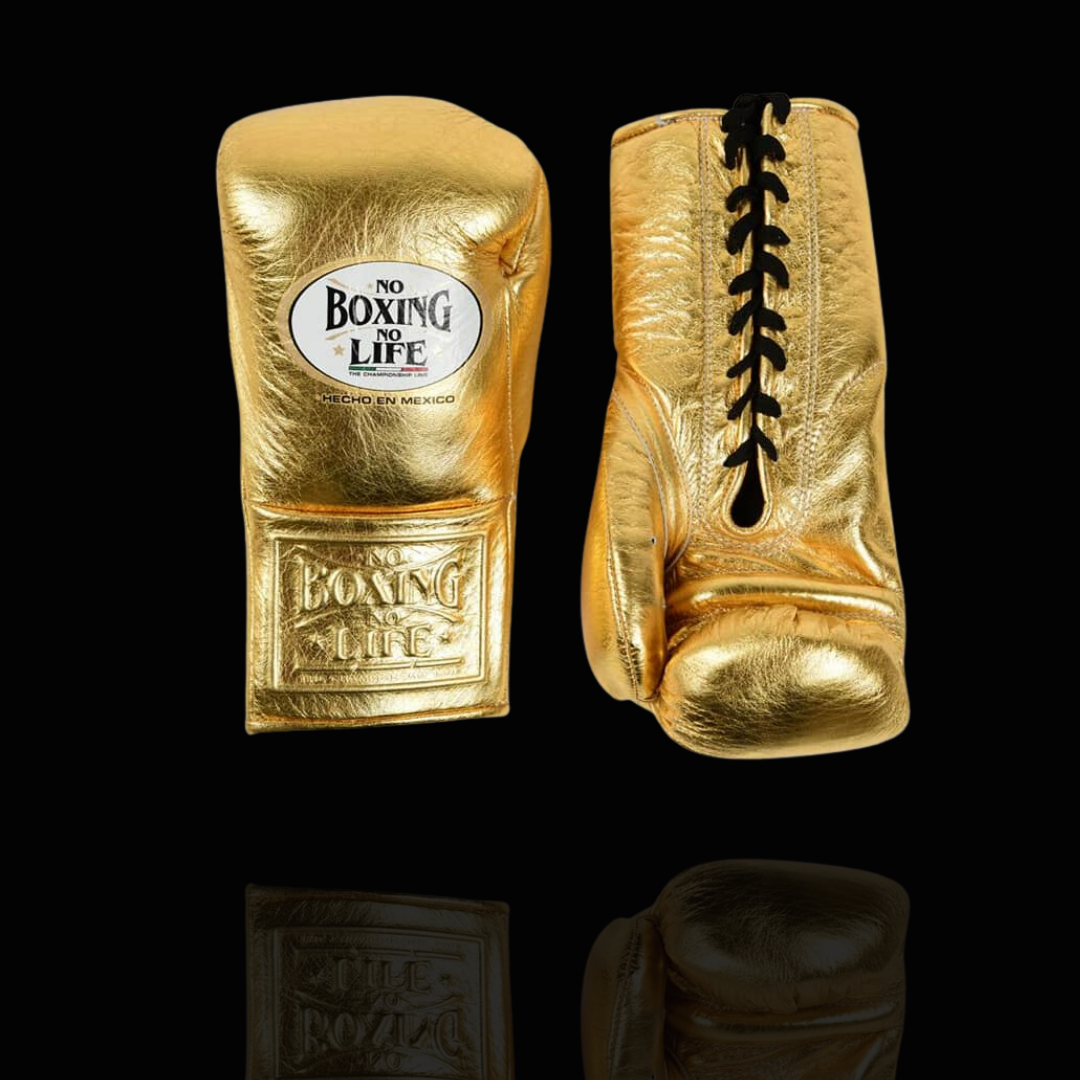 No Boxing No Life Glove - online, NBNL Boxing Gloves, Limited Addition