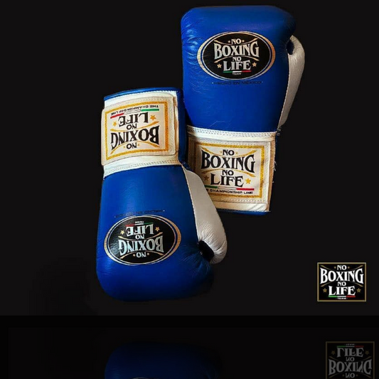 No Boxing No Life Glove - online, NBNL Boxing Gloves, Limited Addition