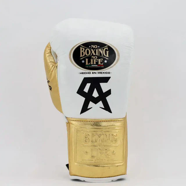 No Boxing No Life Glove - online, NBNL Boxing Gloves, Limited Addition