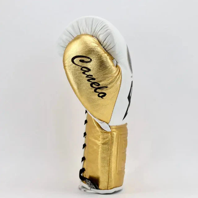 No Boxing No Life Glove - online, NBNL Boxing Gloves, Limited Addition