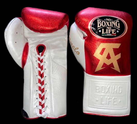 No Boxing No Life Glove - online, NBNL Boxing Gloves, Limited Addition