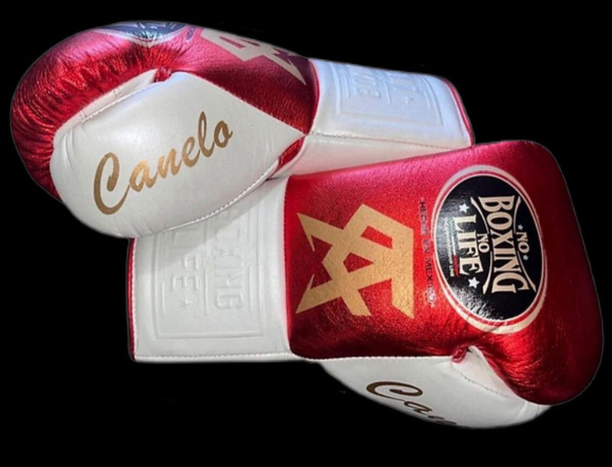 No Boxing No Life Glove - online, NBNL Boxing Gloves, Limited Addition