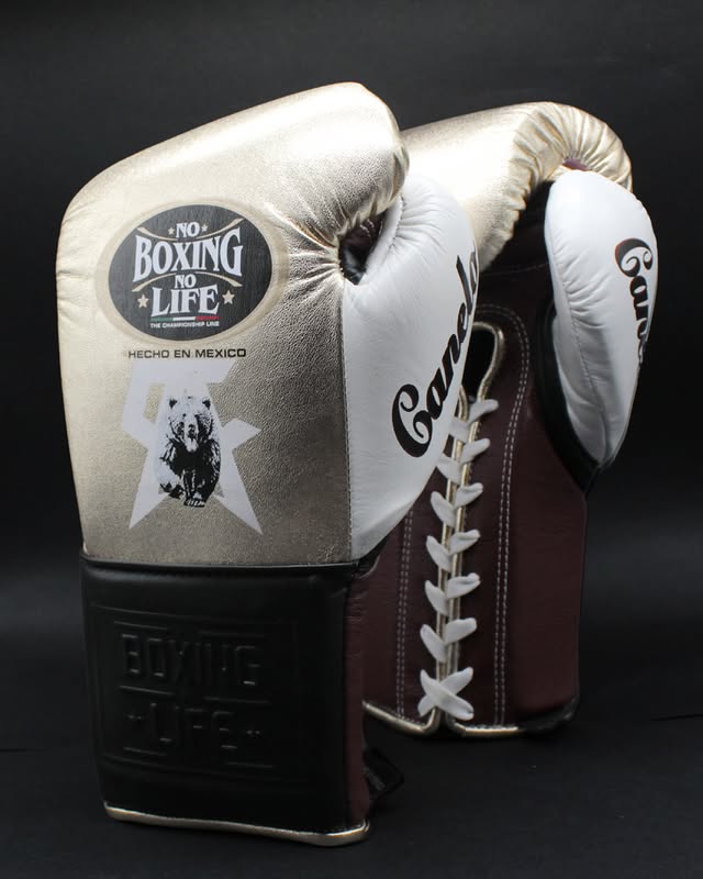 No Boxing No Life Glove - online, NBNL Boxing Gloves, Limited Addition