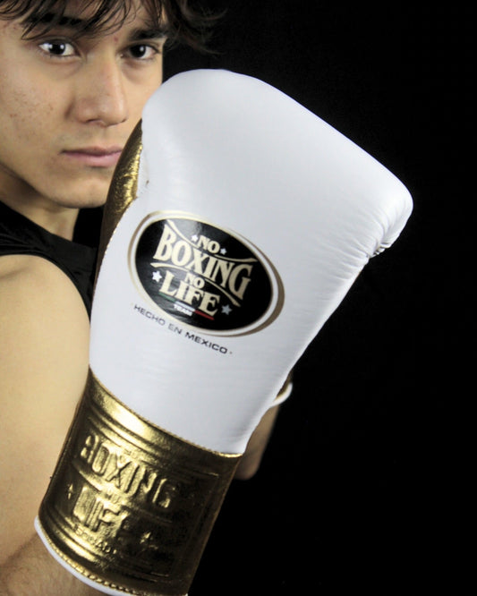 No Boxing No Life Glove - online, NBNL Boxing Gloves, Limited Addition