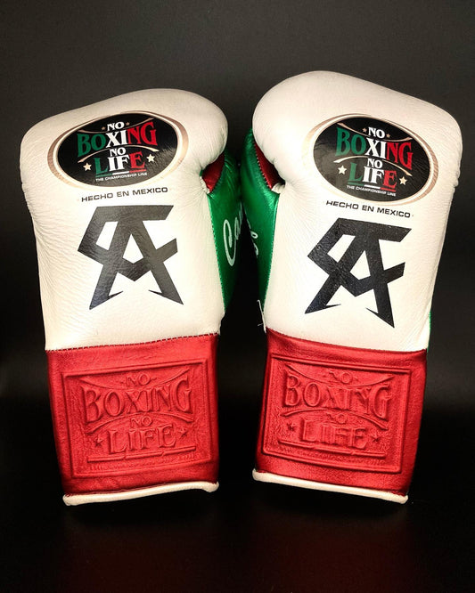 No Boxing No Life Glove - online, NBNL Boxing Gloves, Limited Addition