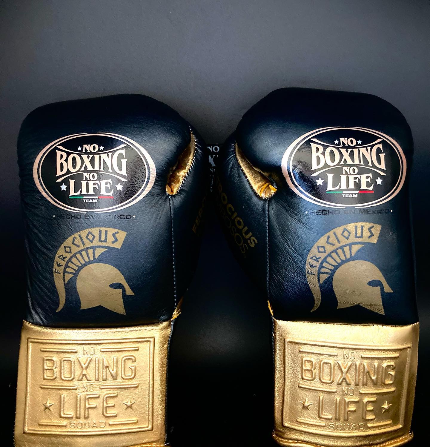 No Boxing No Life Glove - online, NBNL Boxing Gloves, Limited Addition