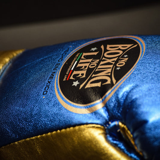 No Boxing No Life Glove - online, NBNL Boxing Gloves, Limited Addition