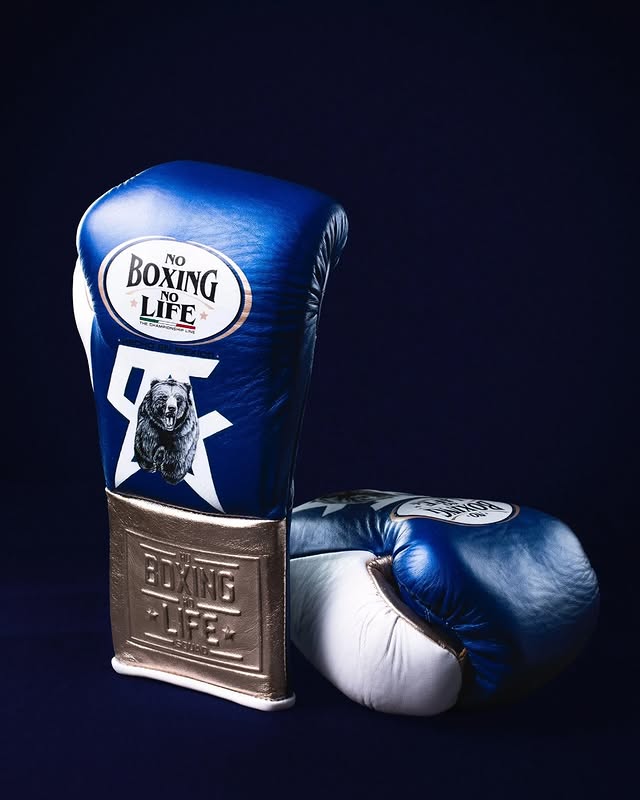 No Boxing No Life Glove - online, NBNL Boxing Gloves, Limited Addition