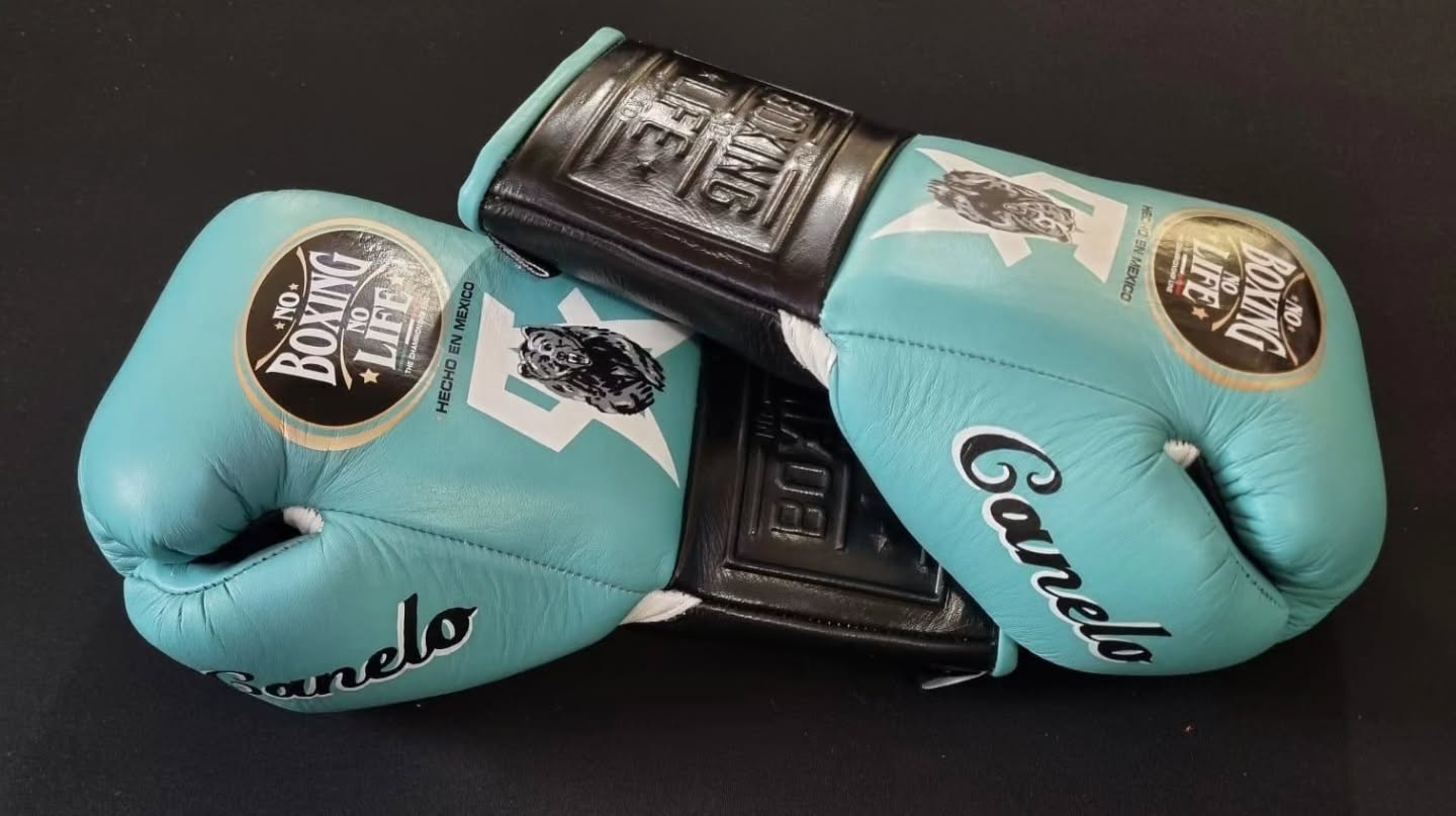 No Boxing No Life Glove - online, NBNL Boxing Gloves, Limited Addition