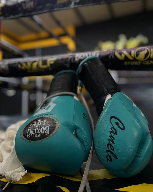 No Boxing No Life Glove - online, NBNL Boxing Gloves, Limited Addition