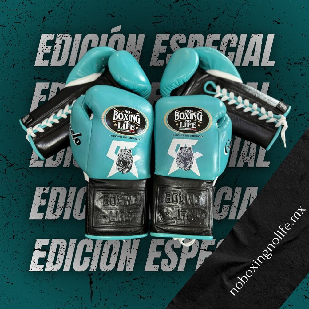 No Boxing No Life Glove - online, NBNL Boxing Gloves, Limited Addition