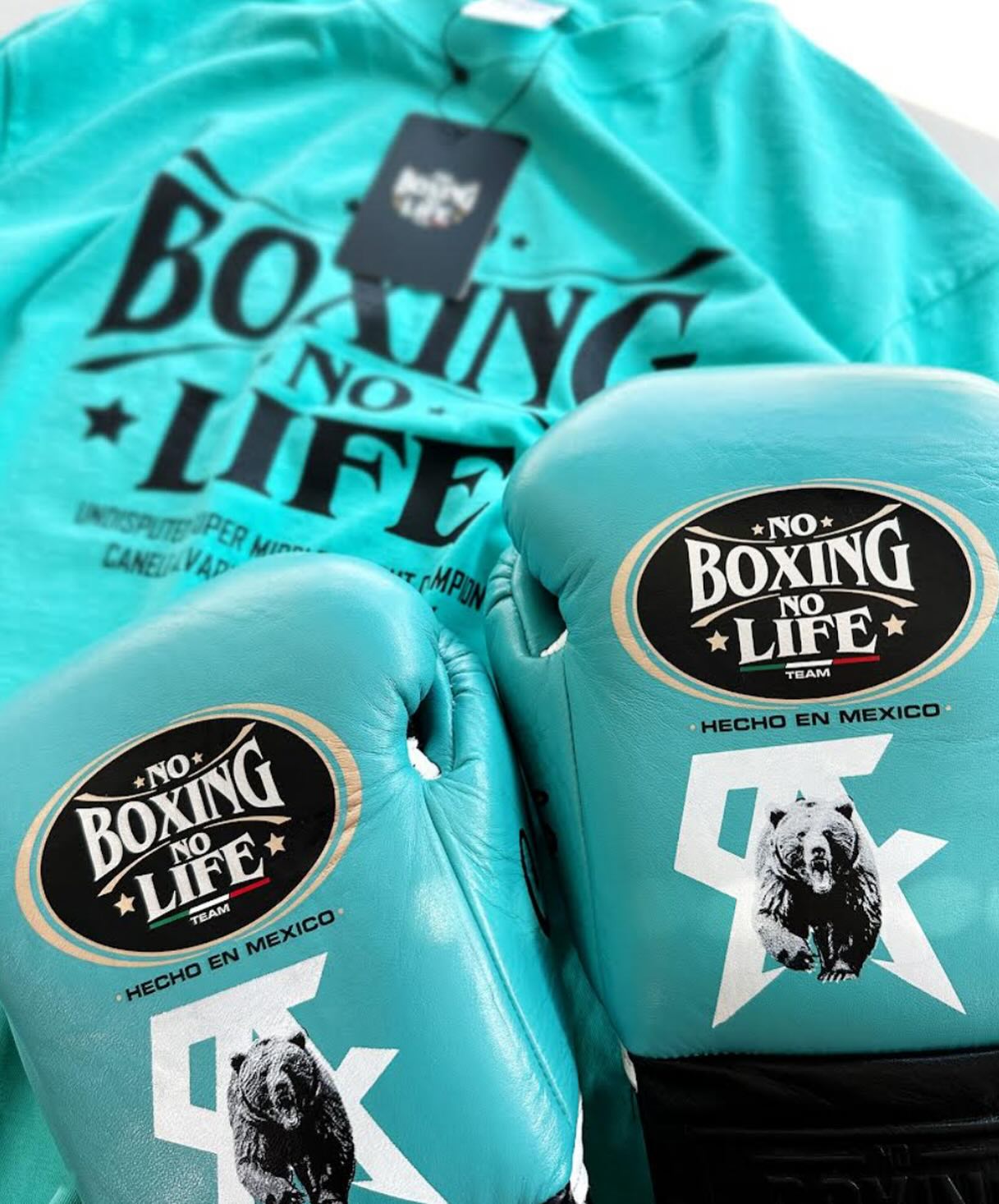 No Boxing No Life Glove - online, NBNL Boxing Gloves, Limited Addition