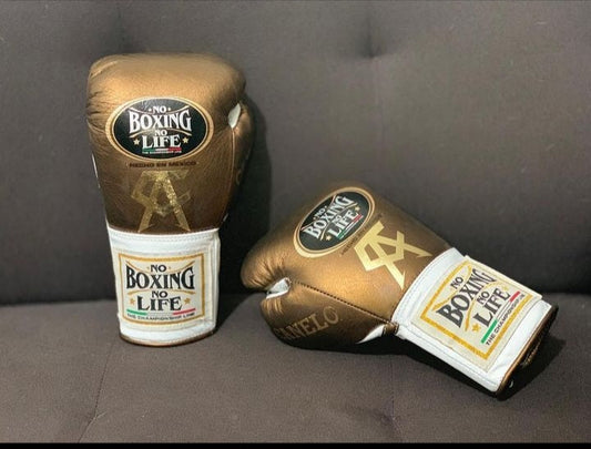 No Boxing No Life Glove - online, NBNL Boxing Gloves, Limited Addition